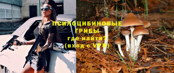 СК Абинск