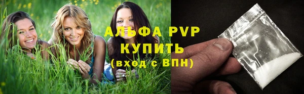 СК Абинск