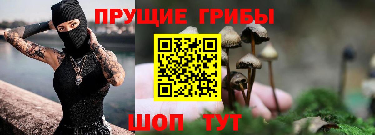 Отрадный  Псилоцибиновые грибы Cubensis  Вход с VPN  Галлюциногенные грибы Psilocybe 